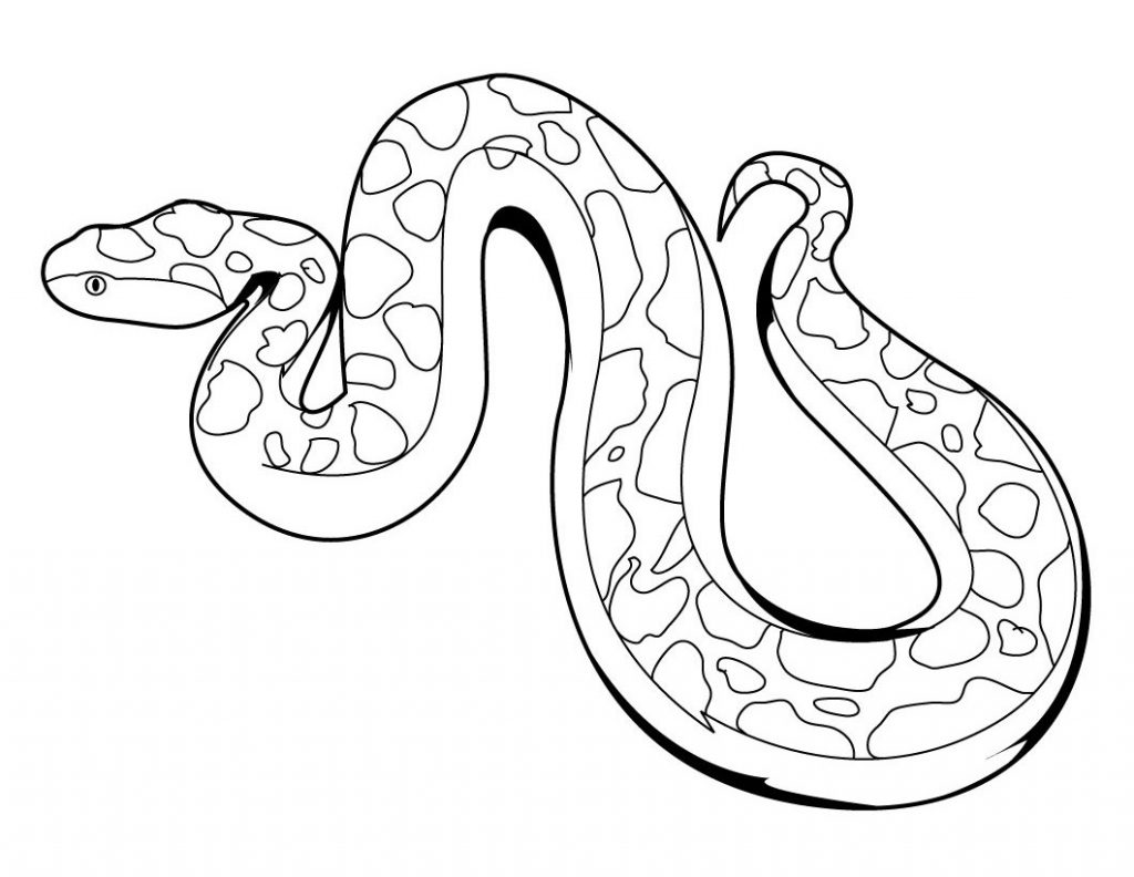 Snake - Zoo Animals Coloring Pages
