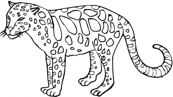 64 Wild Animals Coloring Pages Printable Pdf  Latest Free