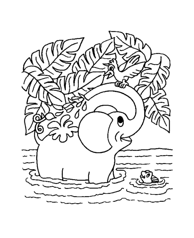 Wild Animal Coloring Pages - Elephant