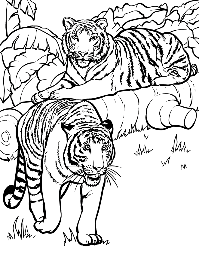 wild-animal-coloring-pages-best-coloring-pages-for-kids