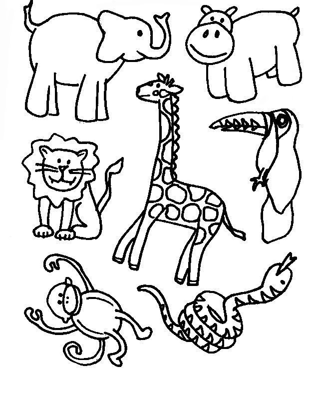 Wild Jungle Animals Coloring Pages