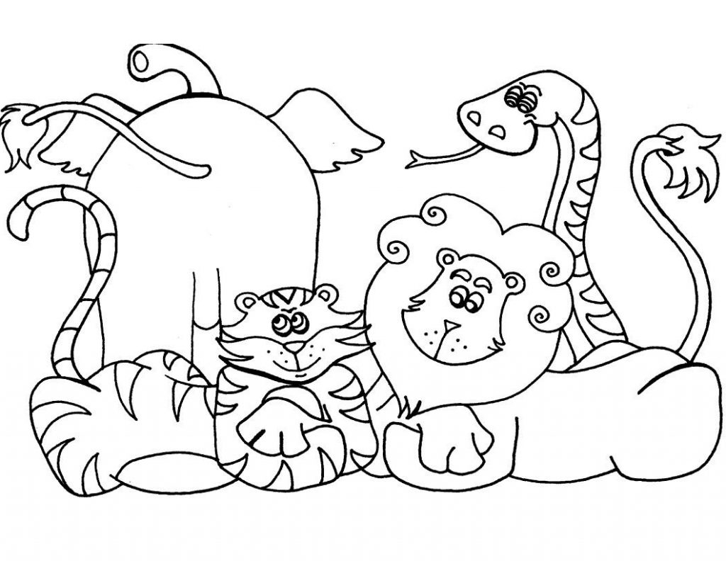 Wild Zoo Animals Coloring Pages