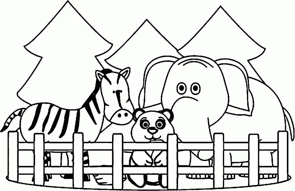 Zoo Animals Coloring Pages