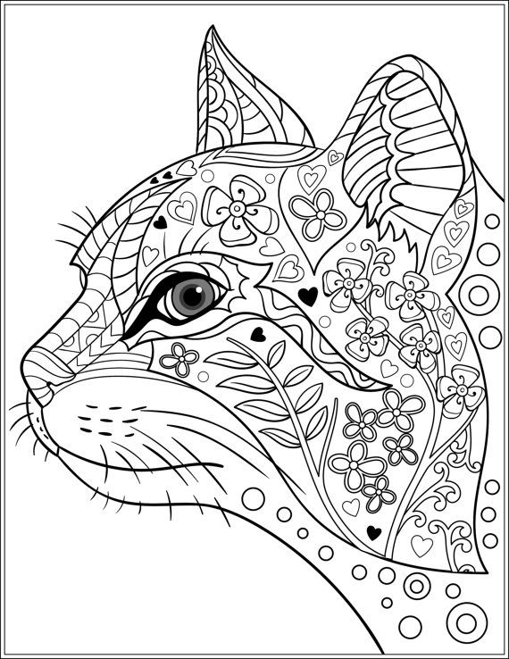 cat coloring pages for adults  best coloring pages for kids