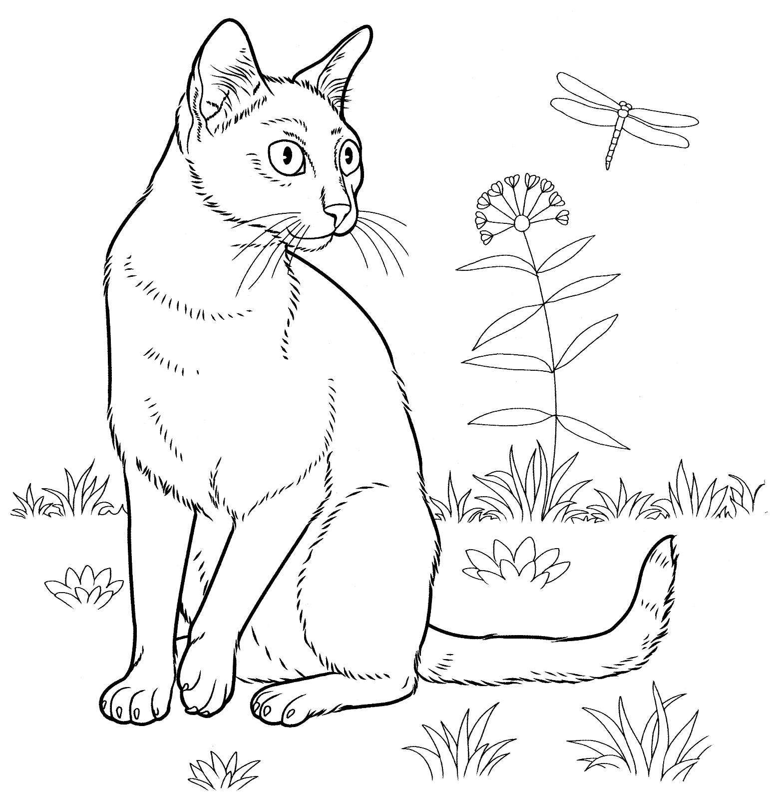 Cat Coloring Pages for Adults - Best Coloring Pages For Kids