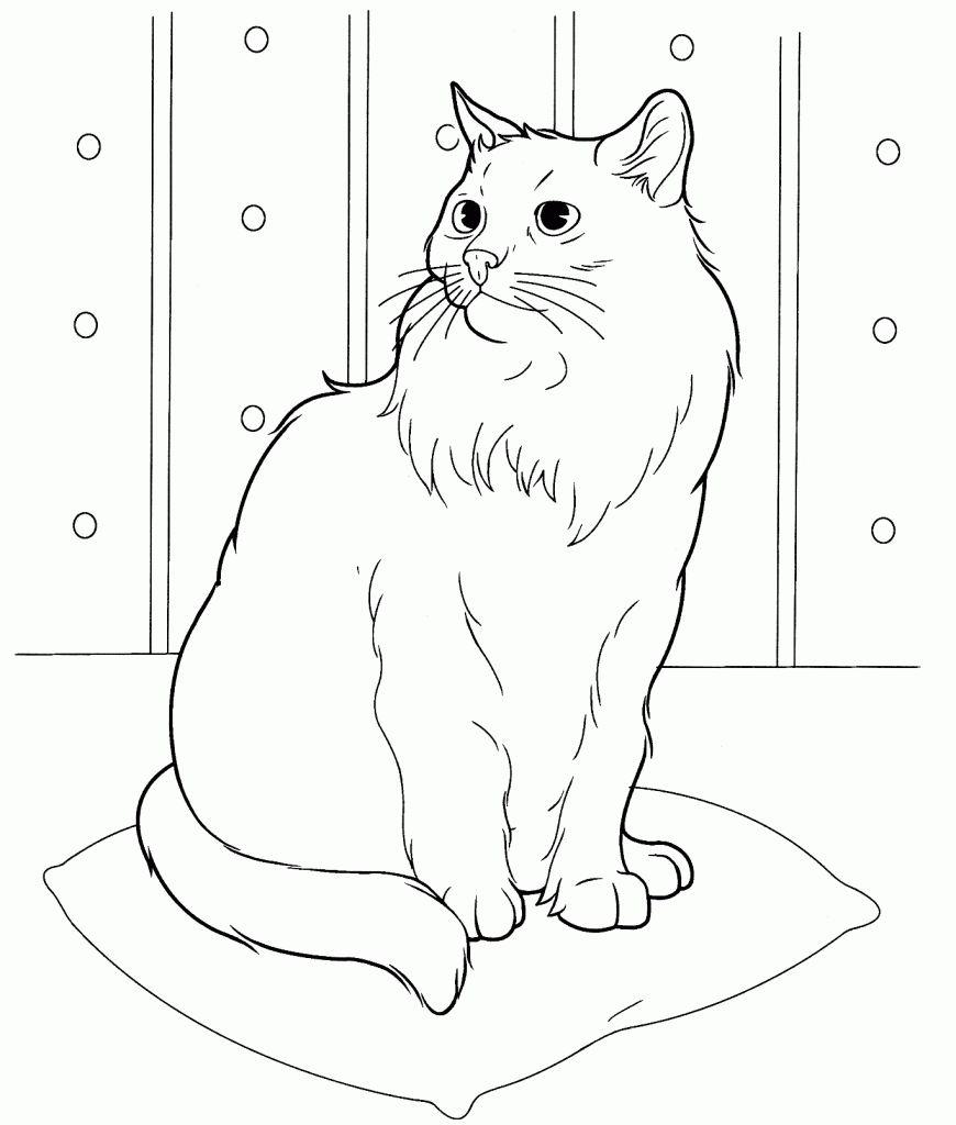 Easy Cat Coloring Pages for Adults