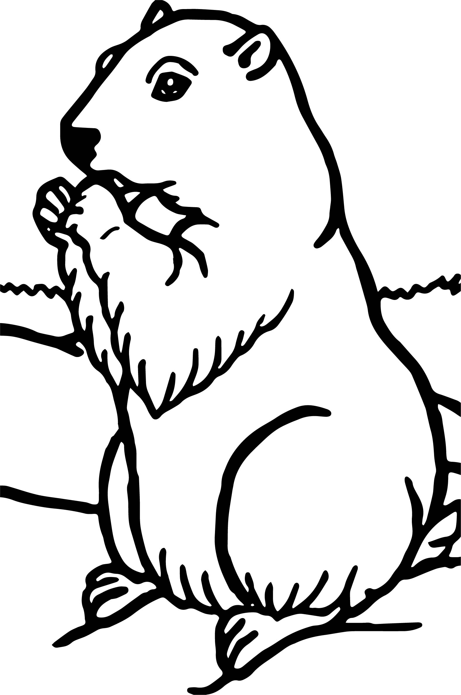 groundhog-coloring-pages-best-coloring-pages-for-kids