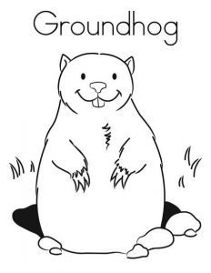 groundhog coloring pages  best coloring pages for kids
