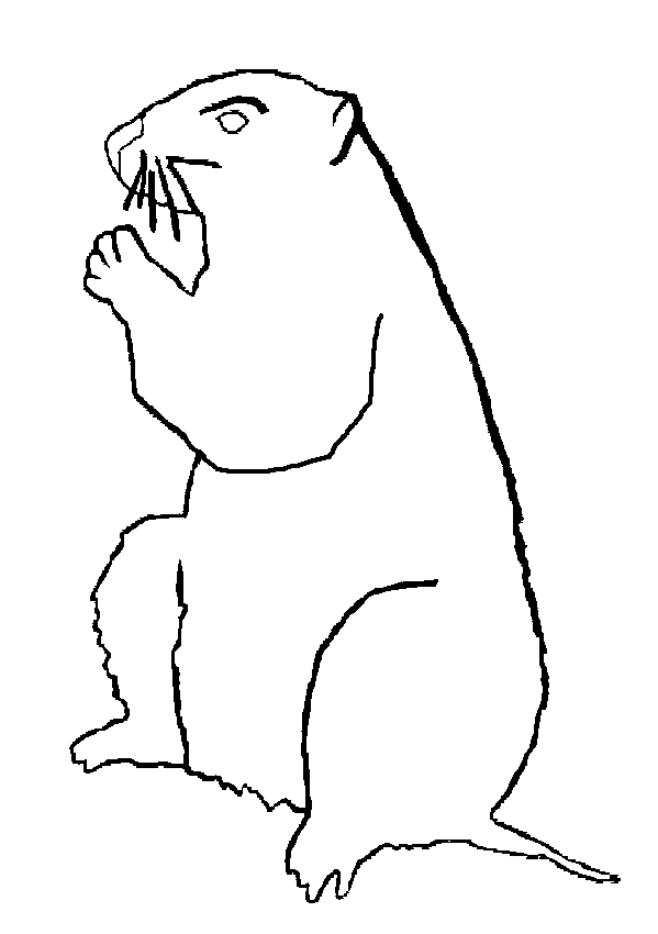 Groundhog Line Art Coloring Page