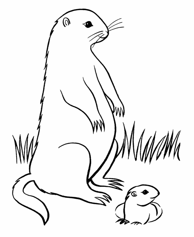 Groundhog And Baby Coloring Page