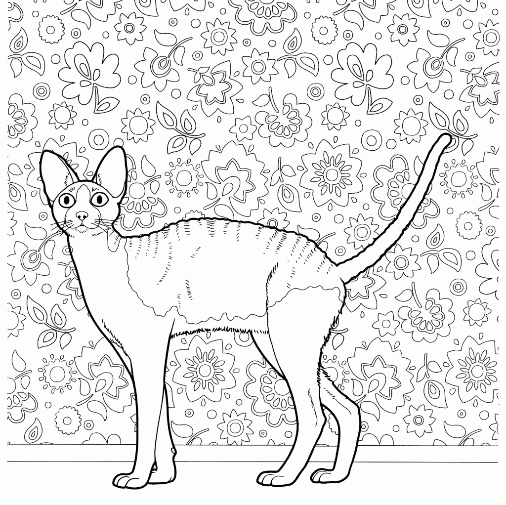 Cat Coloring Page For Adults - 152+ SVG PNG EPS DXF in Zip File