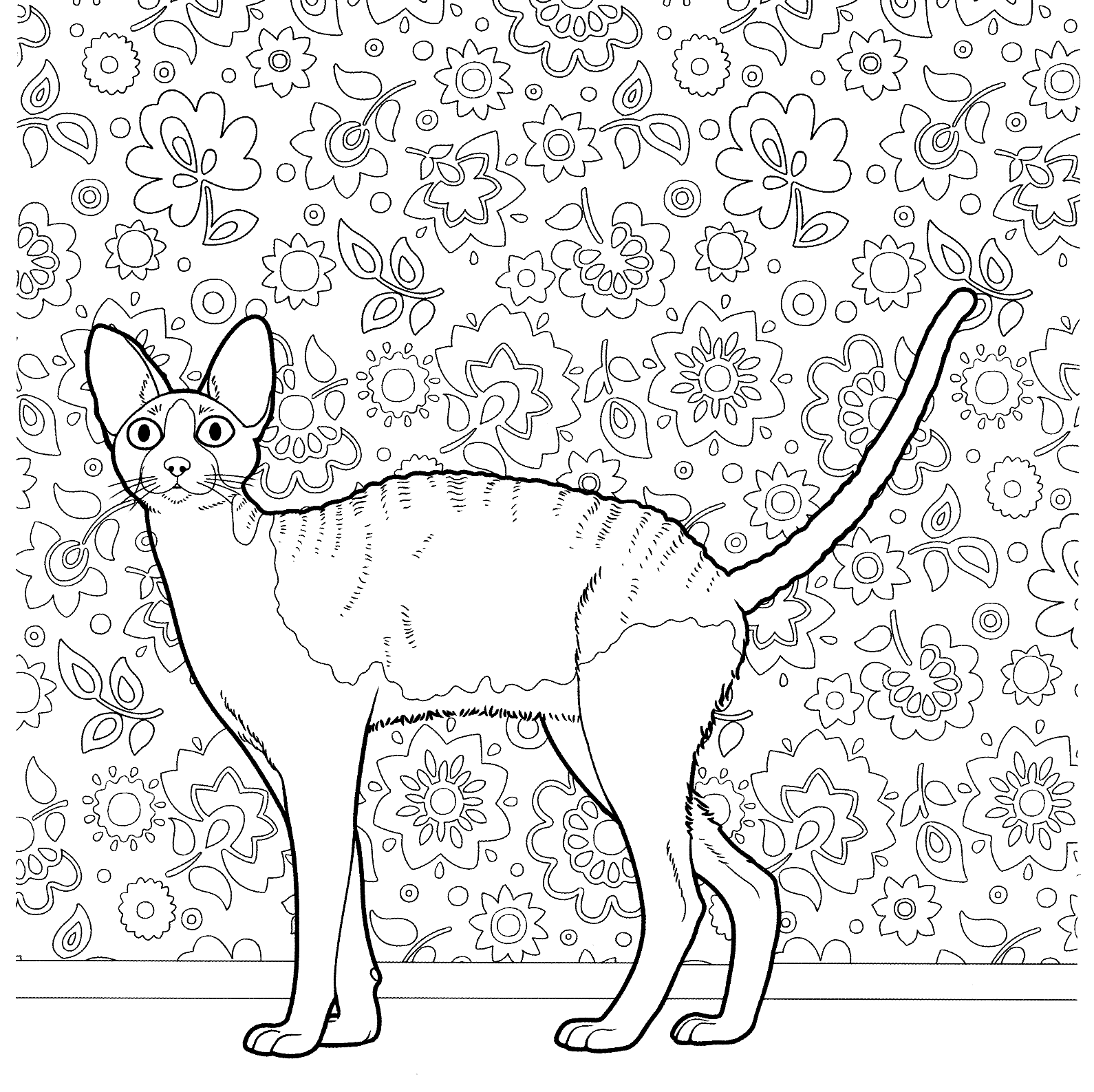 Realistic Kitten Coloring Pages For Adults / View and print full size