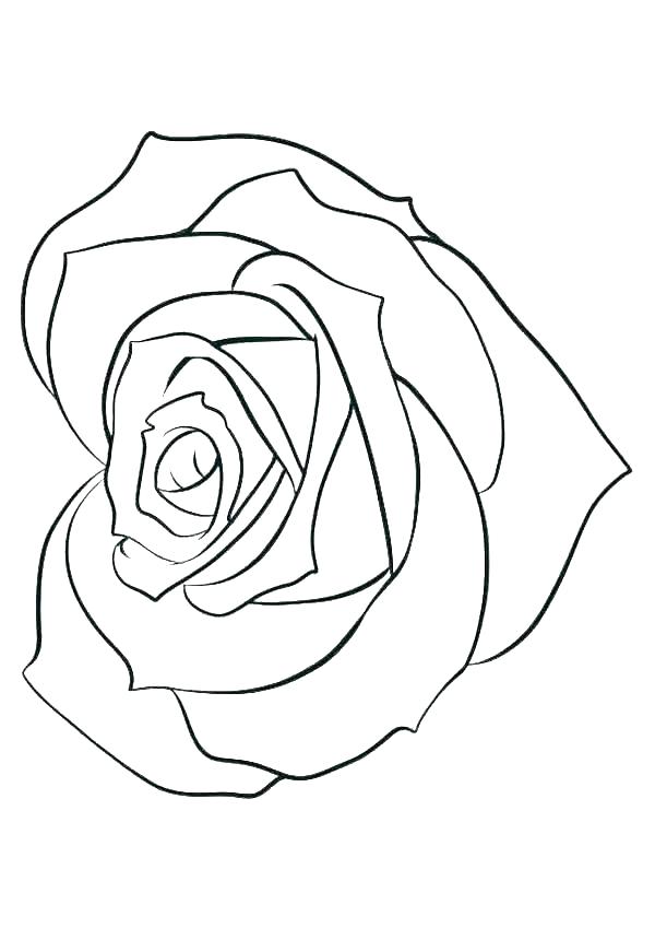 roses and hearts coloring pages  best coloring pages for kids