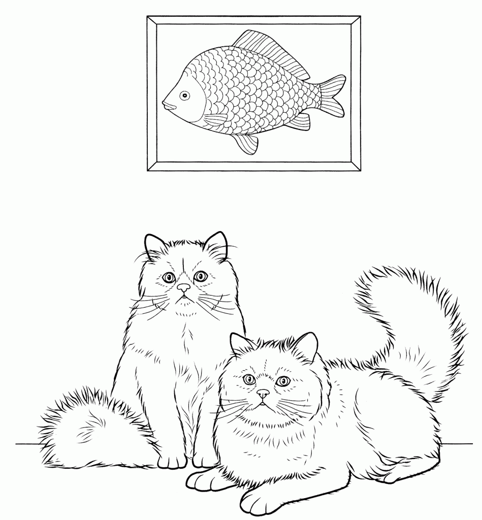 Persian Cat Coloring Pages for Adults