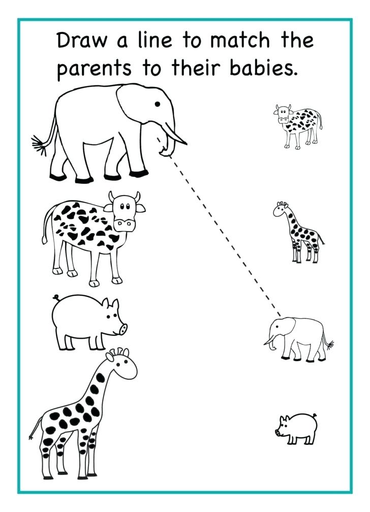 preschool worksheets matching