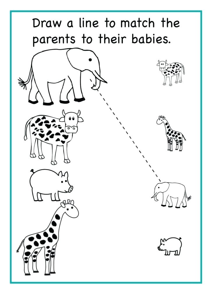 Fun Worksheets For Kindergarten Kindergarten