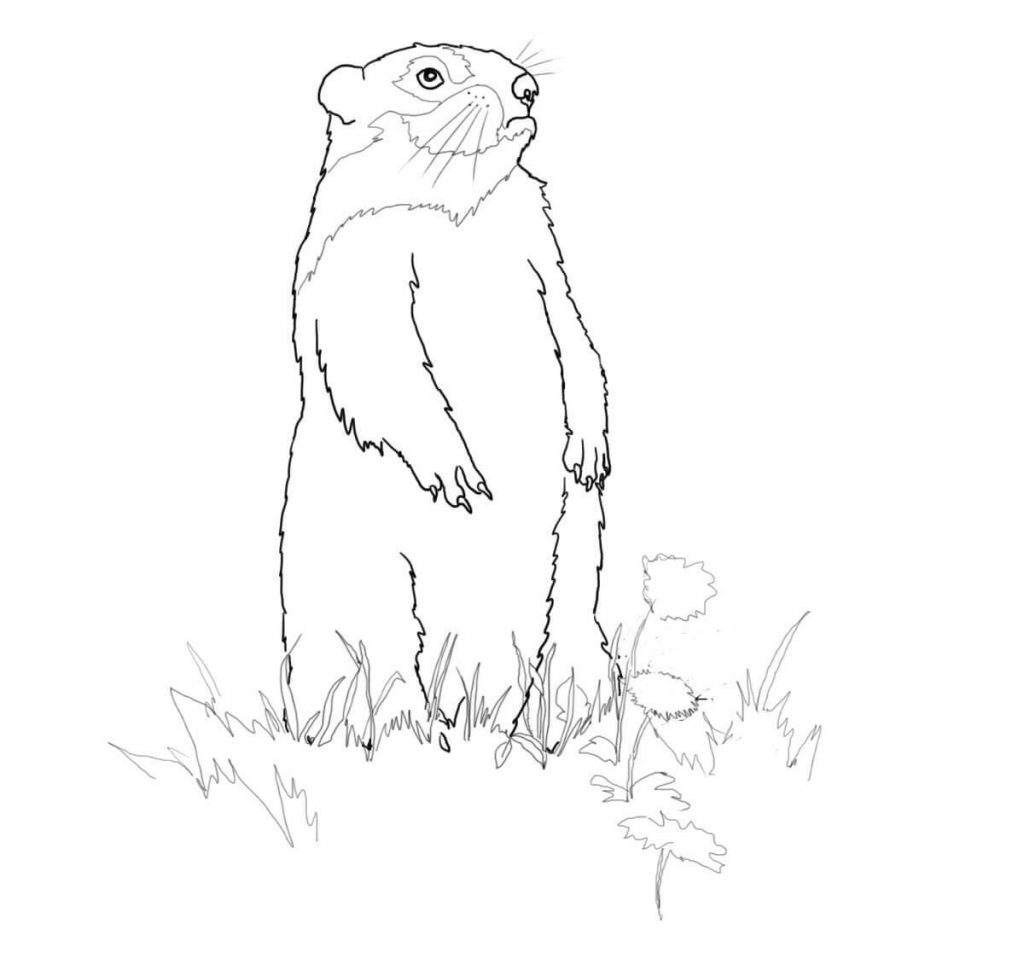 Printable Groundhog Day Coloring Pages