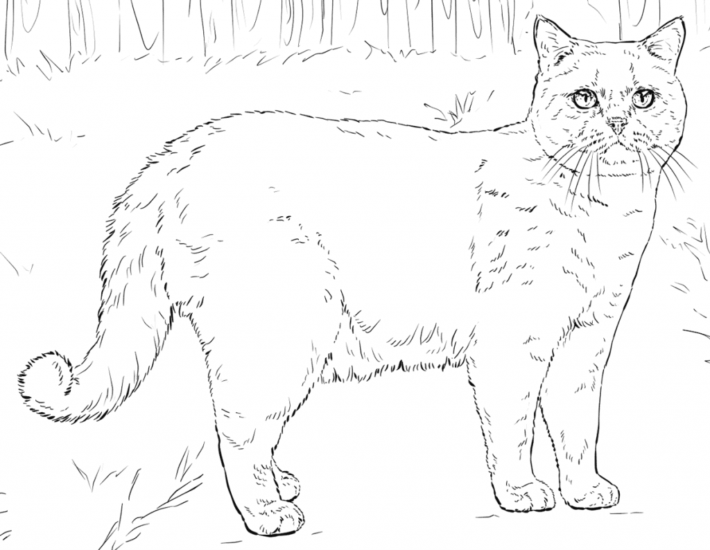 Realistic Cat Coloring Pages