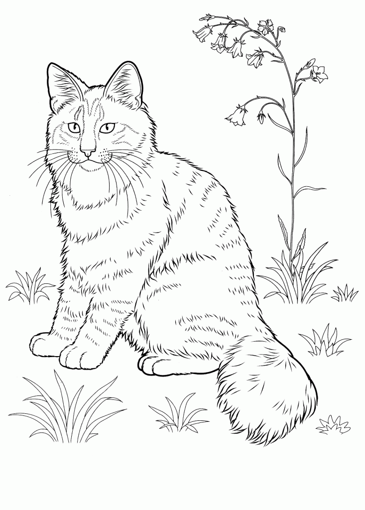 Striped Cat Coloring Pages for Adults