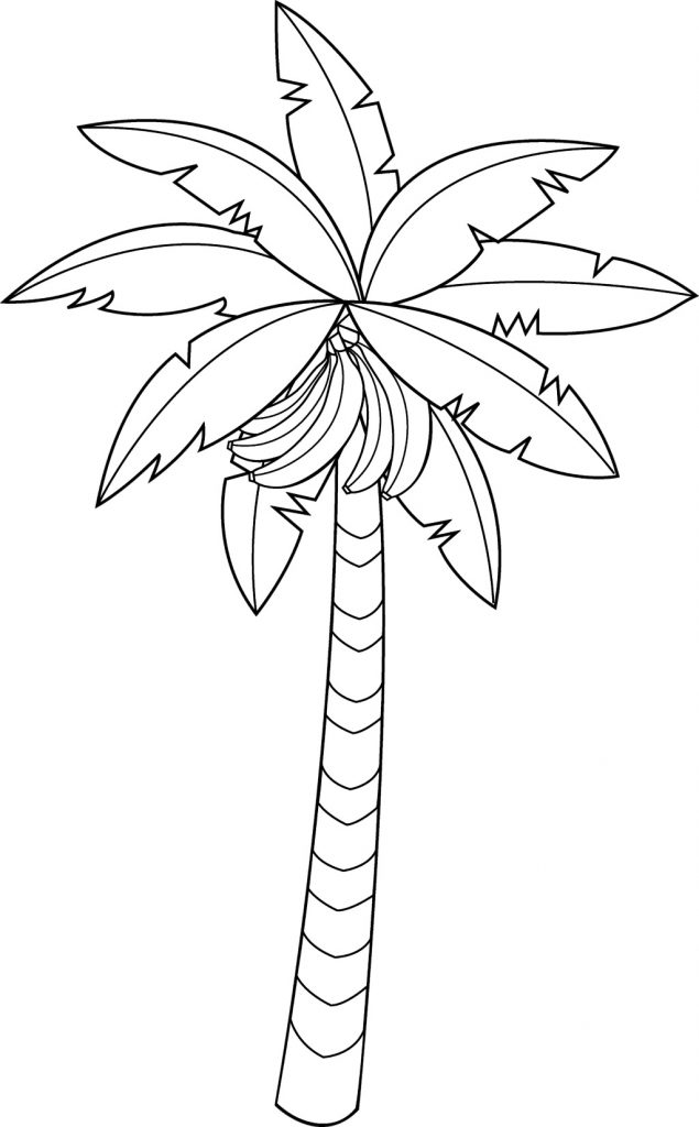 Banana Fruit Tree Coloring Pages