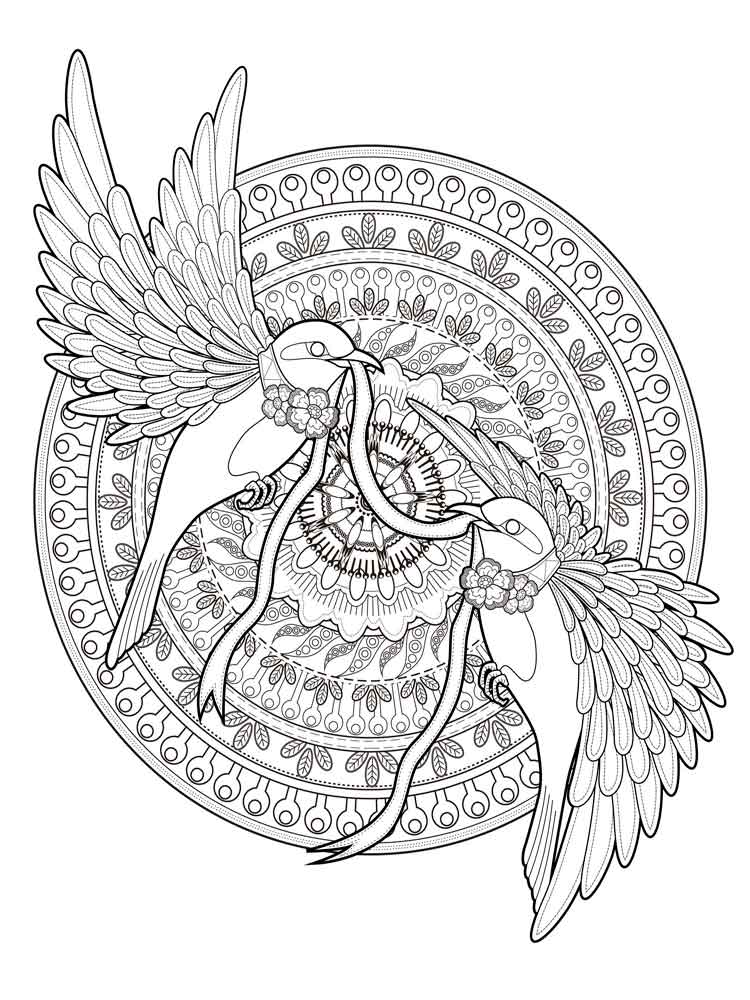 Mandala Colouring Sheets Animals