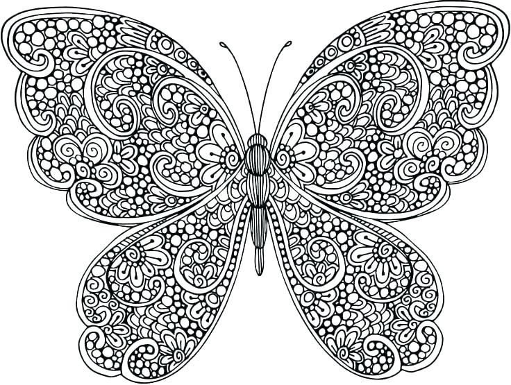 Butterfly Animal Mandala Coloring Pages