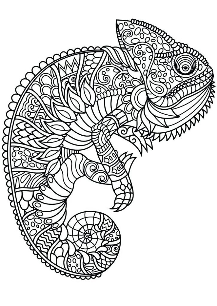 Chameleon Animal Mandala Coloring Pages