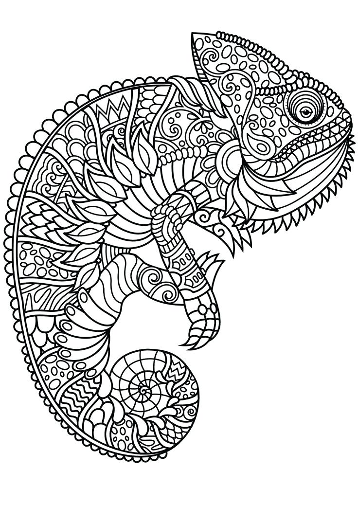 Animal Mandala Coloring Pages - Best Coloring Pages For Kids