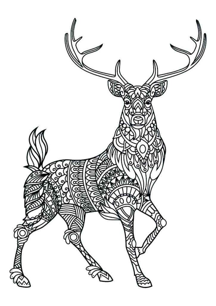 Deer Animal Coloring Pages for Adults