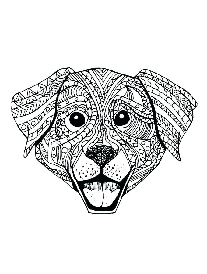 Get Printable Mandala Coloring Pages Animals PNG COLORIST