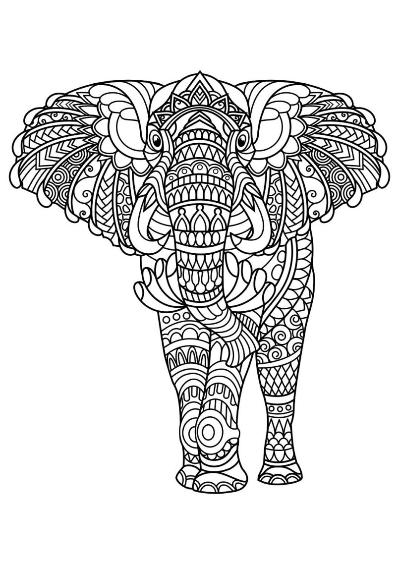 coloring animal mandala elephant