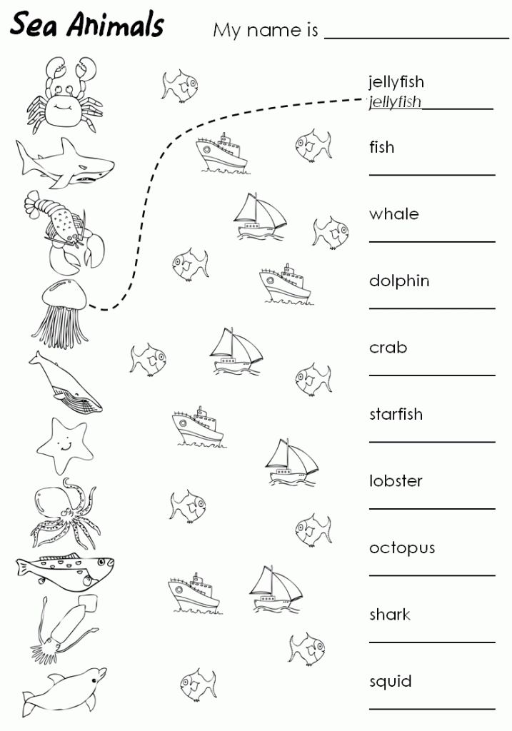 1st Grade Matching Worksheets