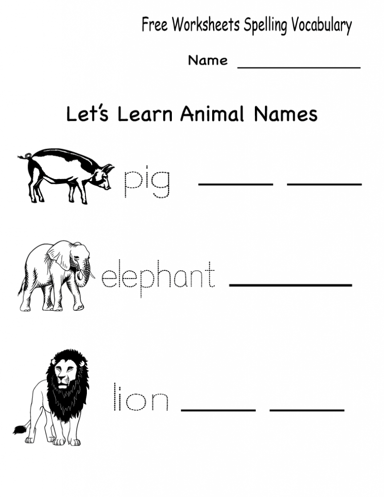 2nd Grade Spelling Vocabulary Worksheet