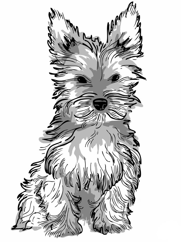 coloring dog puppy yorkie realistic adult adults drawing puppies cartoon getdrawings template