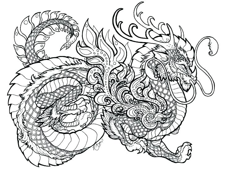 Dragon Coloring Pages for Adults - Best Coloring Pages For Kids