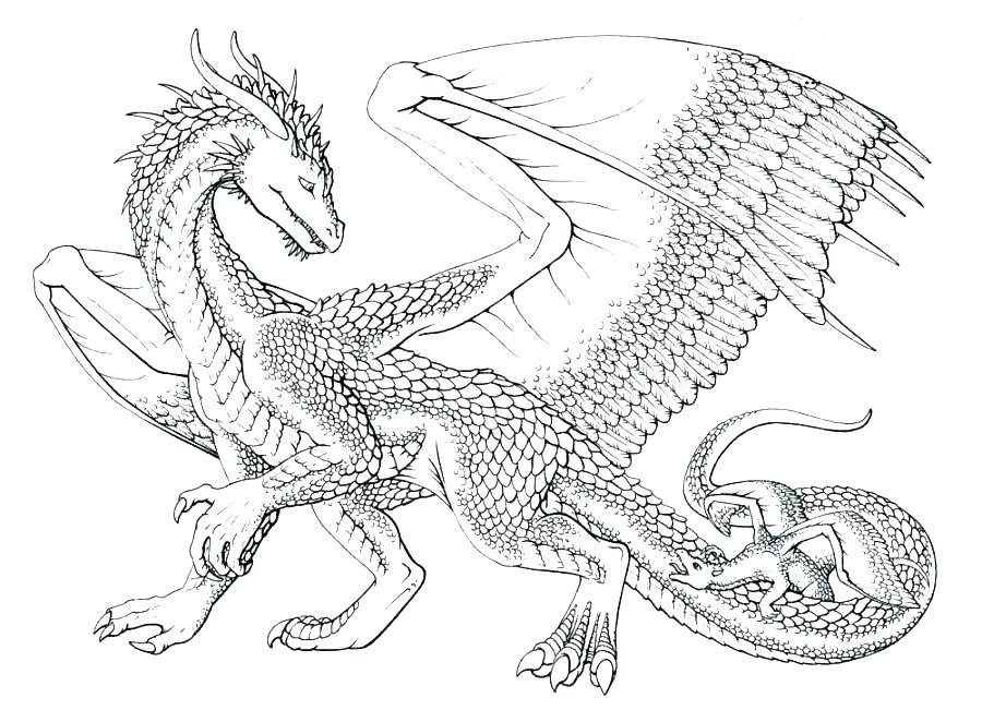 Download Dragon Coloring Pages for Adults - Best Coloring Pages For ...