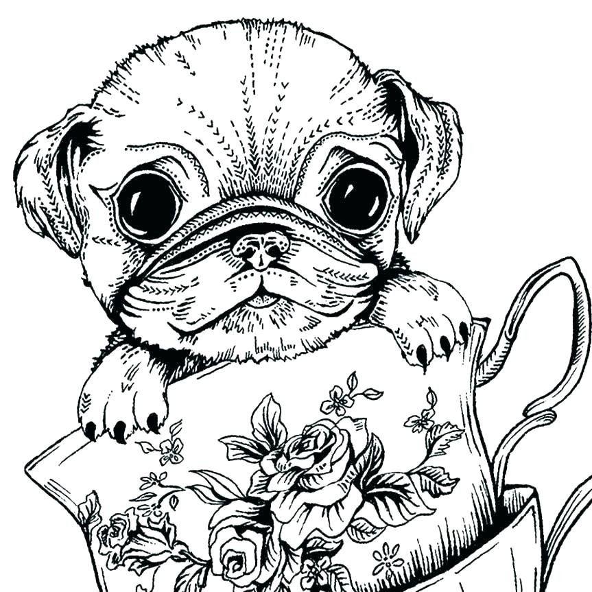 Coloriage chien mignon pour adultes