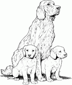 Dog Coloring Pages for Adults - Best Coloring Pages For Kids