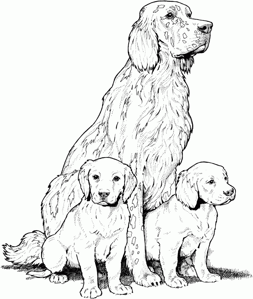 Coloriages de chiens pour adultes