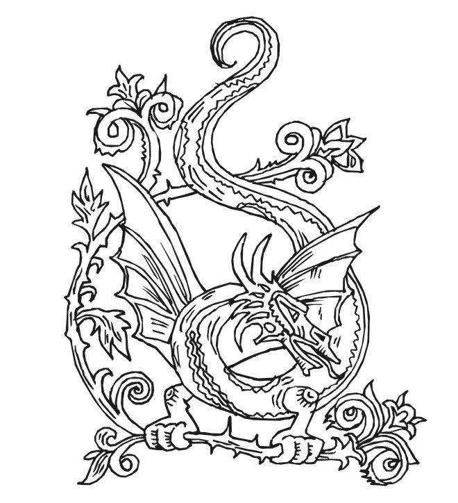 Dragon Coloring Pages for Adults - Best Coloring Pages For Kids