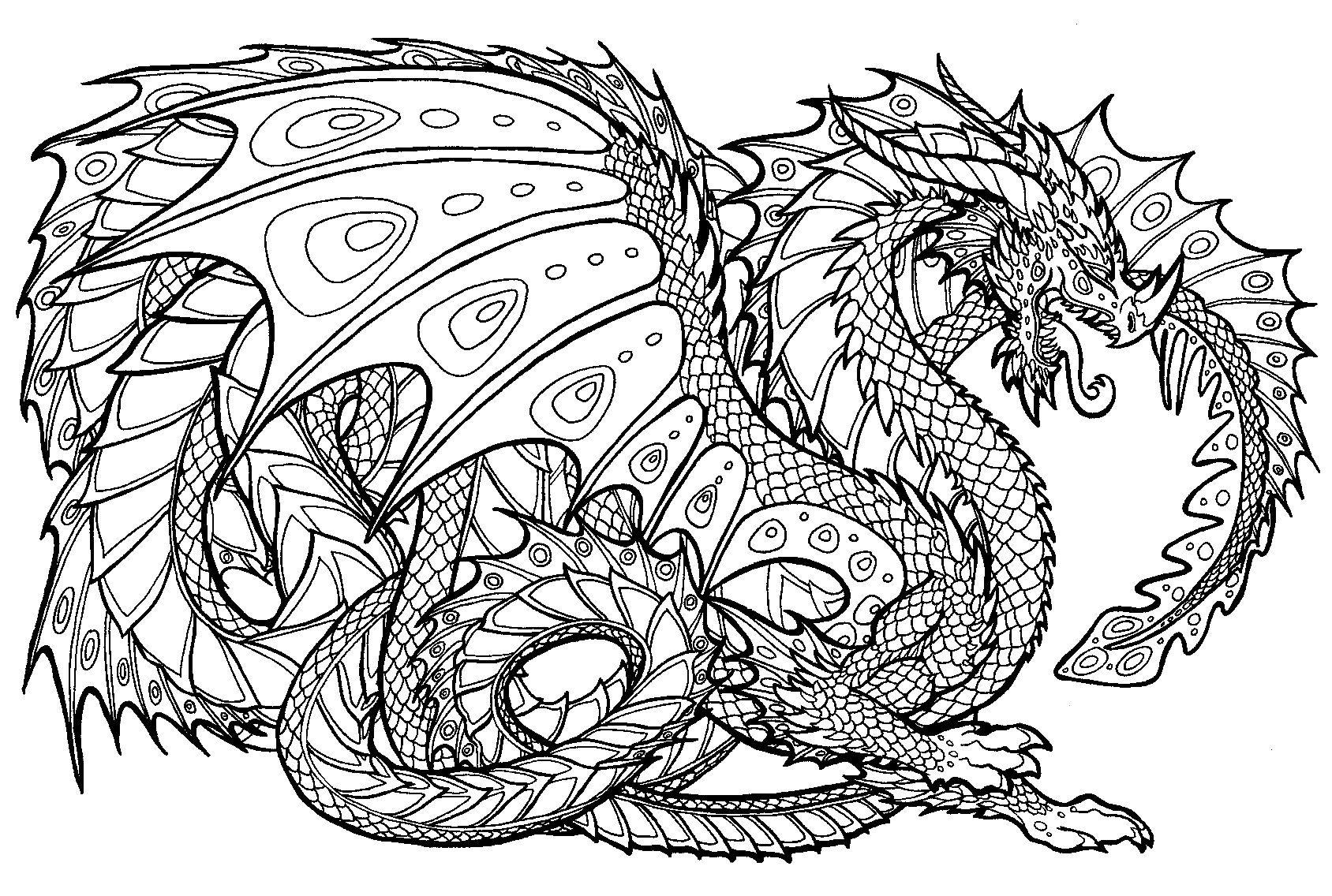 Dragon Coloring Pages for Adults.