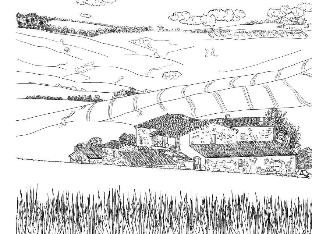 Farm Scenery Coloring Page for Adults