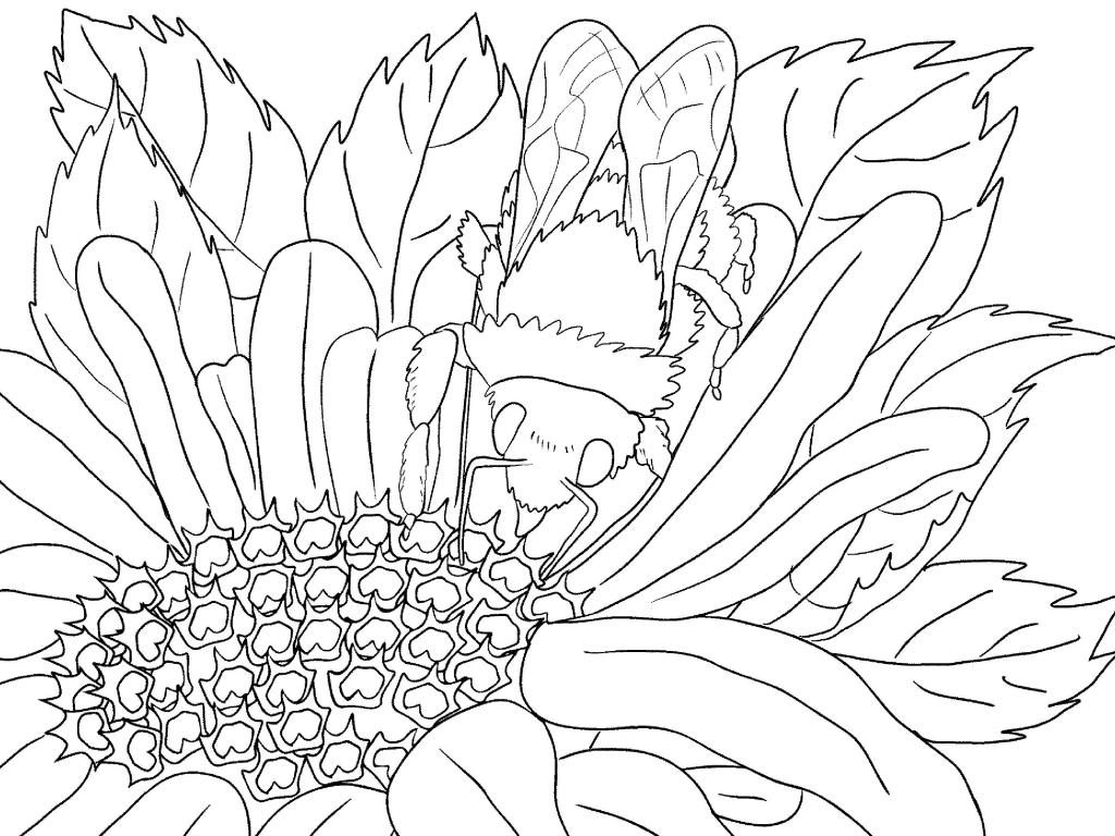 Flower Scenery Coloring Page for Adults