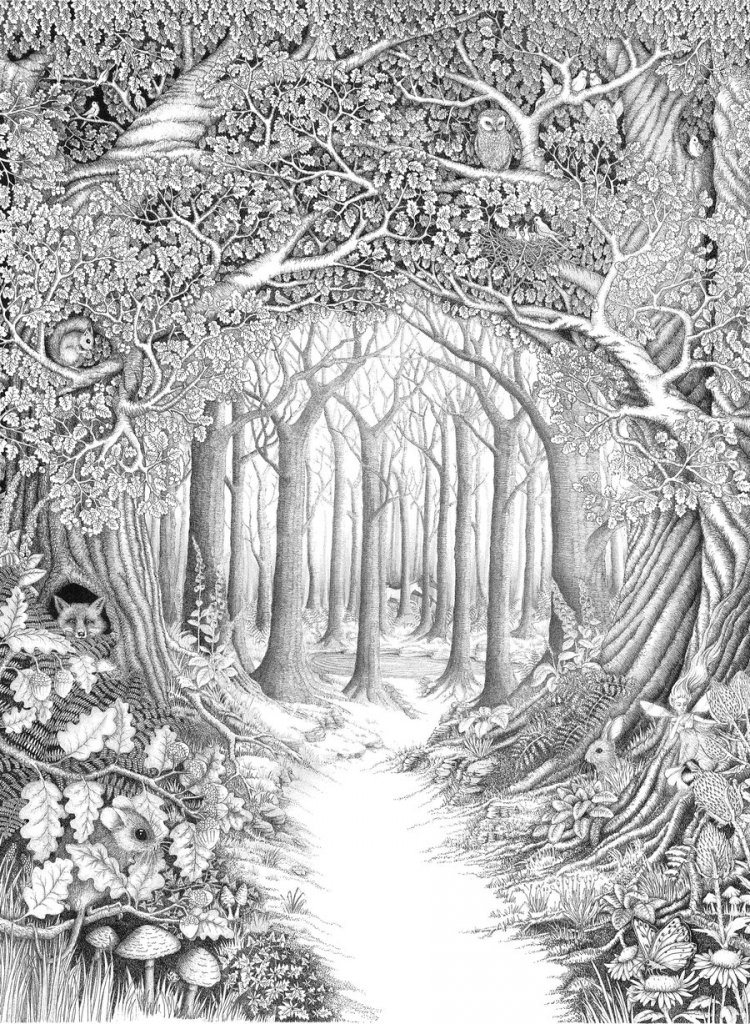 Forest Scenery Coloring Pages for Adults