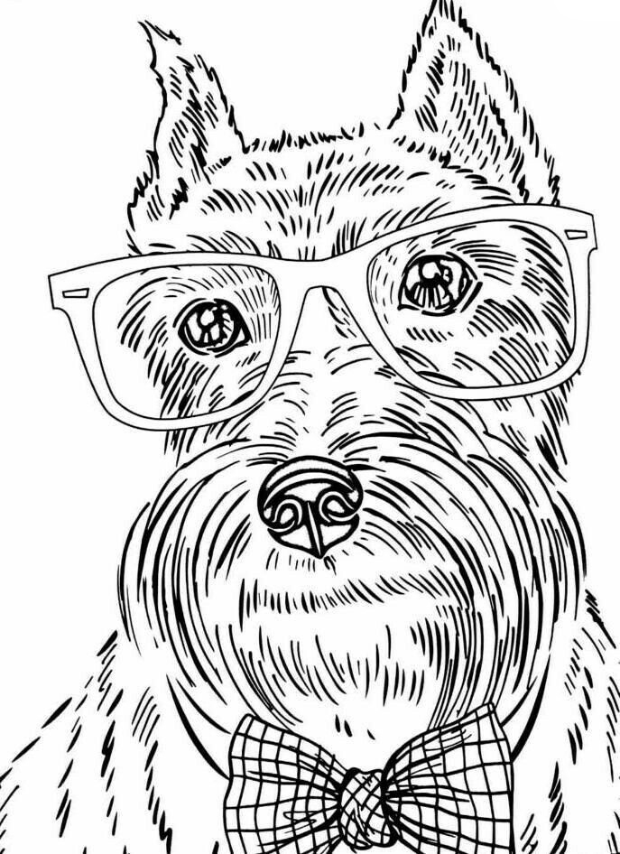 Dog Coloring Pages for Adults - Best Coloring Pages For Kids