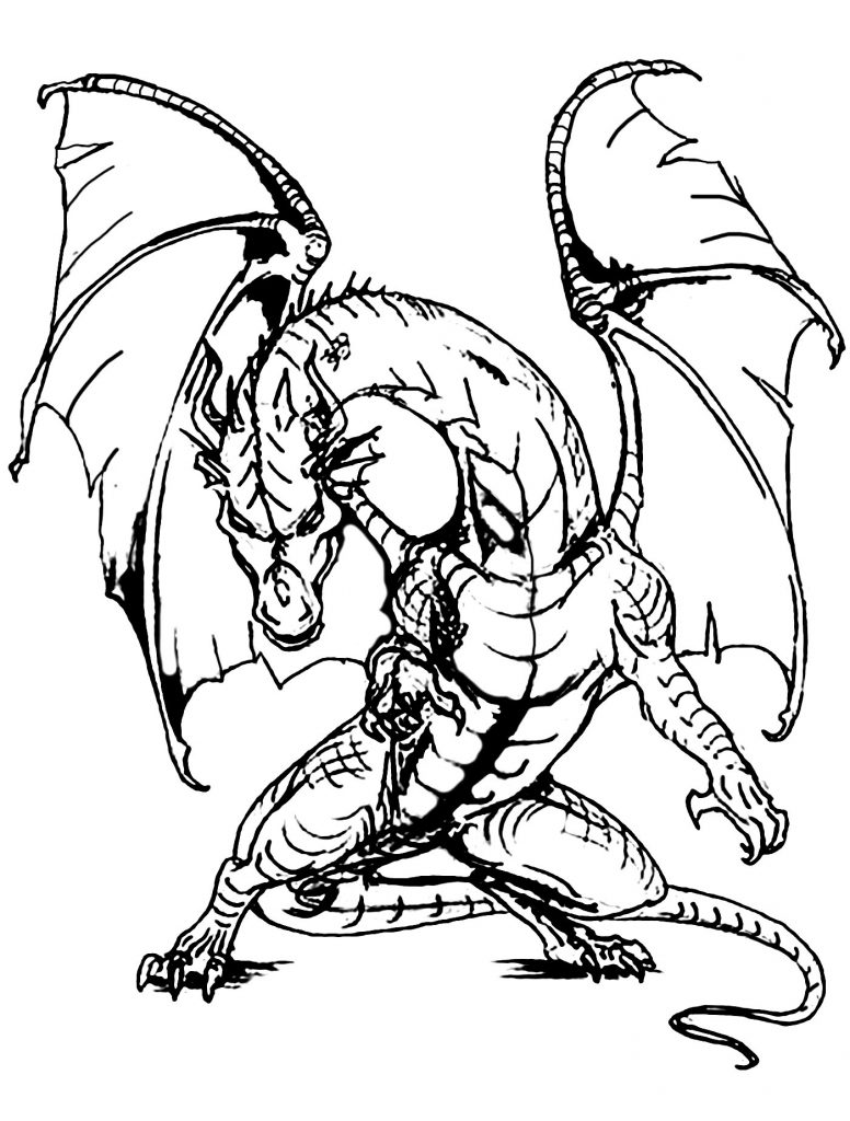 Printable Dragon Picture Adult Coloring