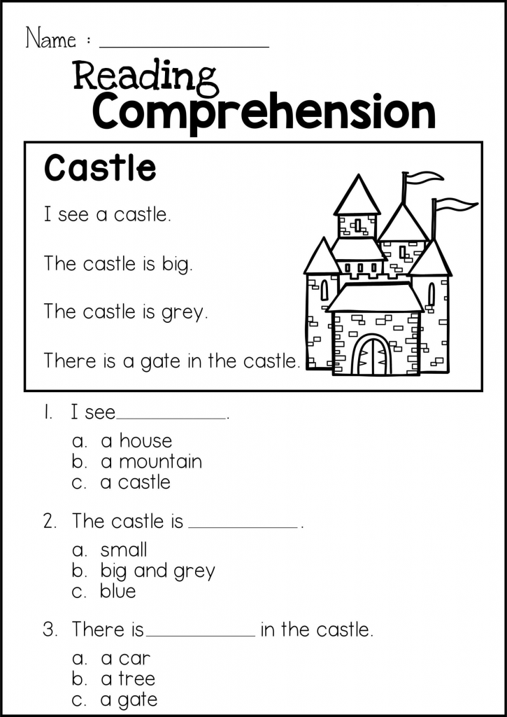 Reading Comprehension 1st Grade Worksheet