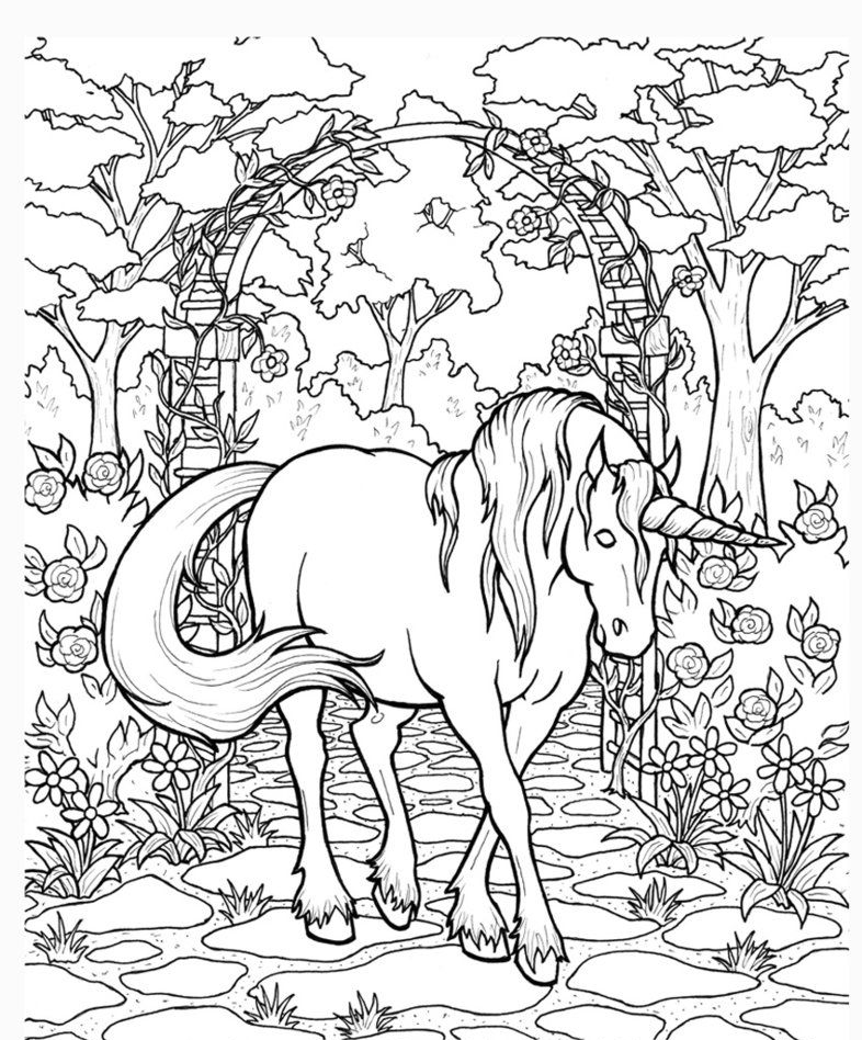 Unicorn in the Garden Adult Coloring Page