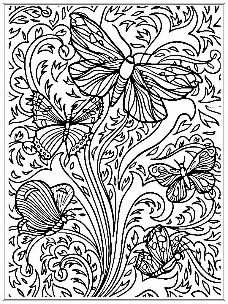 Butterfly Coloring Page Adult Coloring