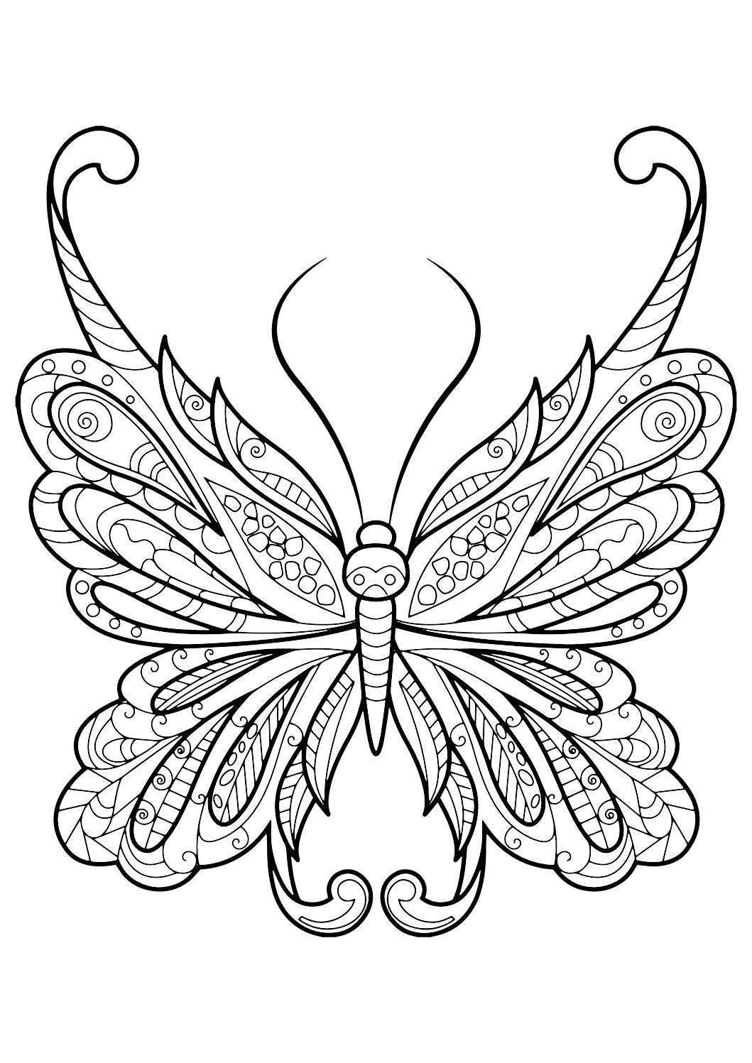 Detailed Butterfly Coloring Pages